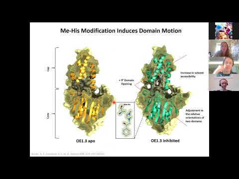 Ashleigh Burke – Design and Evolution of an Enzyme with a Non-Canonical Organocatalytic Mechanism