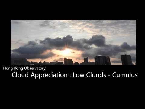 Cloud Appreciation: Low Clouds - Cumulus