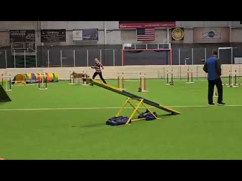 Cammy masters runs 3/11