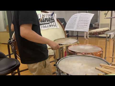 The Litik calf skin drum head sound of Snare off