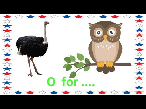 O for owl 🦉,O for ostrich,, Learn Alphabet, ABCD Songs, A-Z Alphabet.