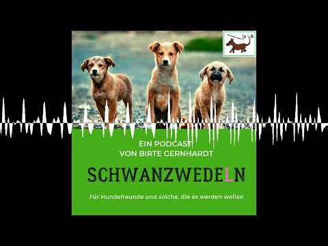 91 Hunderunde - Shop mit sozial nachhaltigem Hundeengagement - Schwanzwedeln