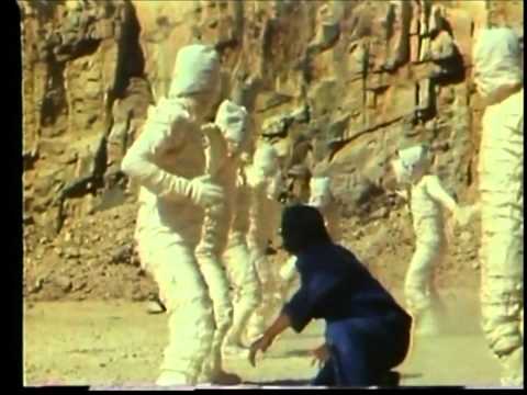 GREAT CHARITY SHOP FINDS No 20 - BOOGIE WOOGIE BONGOS