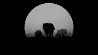 Wild Dogs by Jim Capaldi