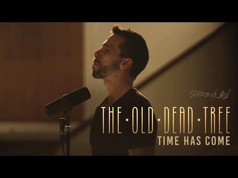 The Old Dead Tree - "Time Has Come" (Official Video)
