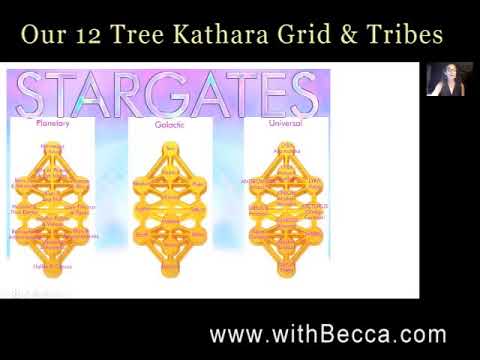 12 Tree Kathara Grid in our Body, Planetary Body, Galactic Body and Universal Body and the 12 Tribes