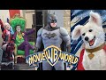 NEW Warner Bros Movie World DC Super Heroes Villains Event 2025 Vlog