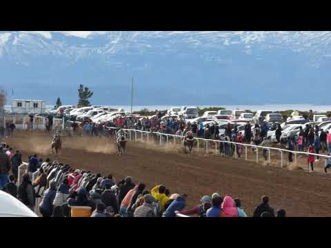 POLLA TRES HARAS      ganador ARMAS DATADA -Los Antiguos-5/9/2021