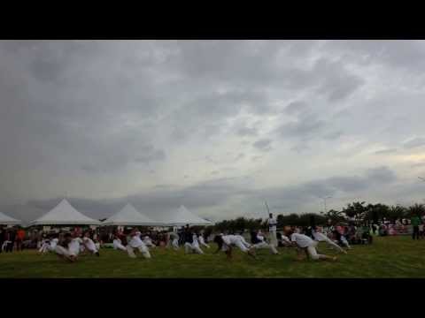 ChurpOut 2013 - Capoeira Performance