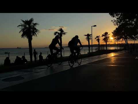 NALYRO x Giorgio Gee x Levis Della - Apologies