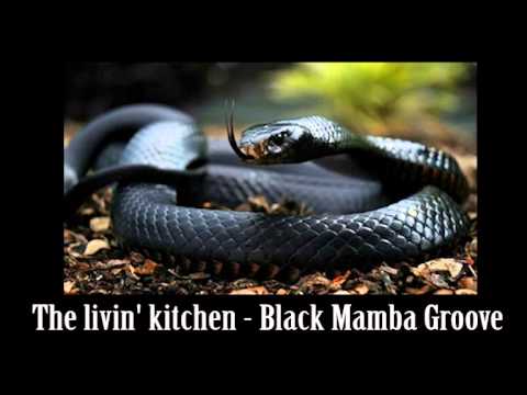 The livin' kitchen - Black Mamba Groove