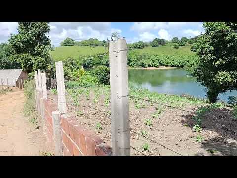 AÇUDE DE MONTE ALEGRE CATENDE PERNAMBUCO CASSIANO OFICIAL 8141