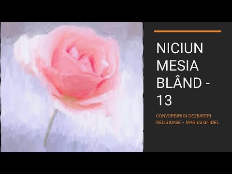 NICIUN MESIA BLÂND - 13