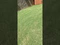 A lazy windy day- Sunday