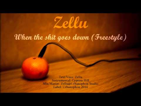 Zellu - When the shit goes down (Freestyle)
