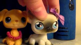 LPS  A Girls Life Story part 2 (OLD)