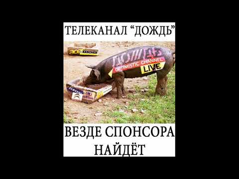 Владимир Путин подписал закон о СМИ иноагентах