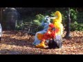 Elmo Sings Twist And Shout For Big Bird In Central Park NYC