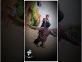Mohabbat Jo Tumse Hui Hai Best Romantic Hindi Whatsapp Status Video
