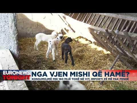 Nga vjen mishi që hamë? Konsumojmë mbi 180 mijë tonë në vit, importi zë më pak peshë