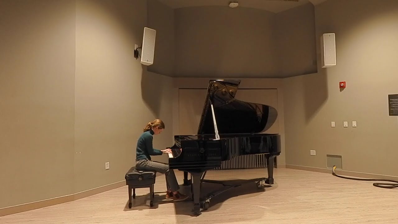 Promotional video thumbnail 4 for Lauren Jackson: Classical Piano/Violin