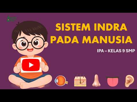 Sistem Koordinasi Pada Manusia part 2 (Sistem Indra) - IPA KELAS 9 SMP