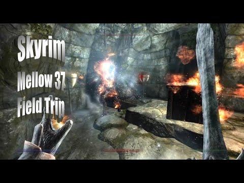 Checkers' Mellow Skyrim Let's Play Part 37 - Field Trip