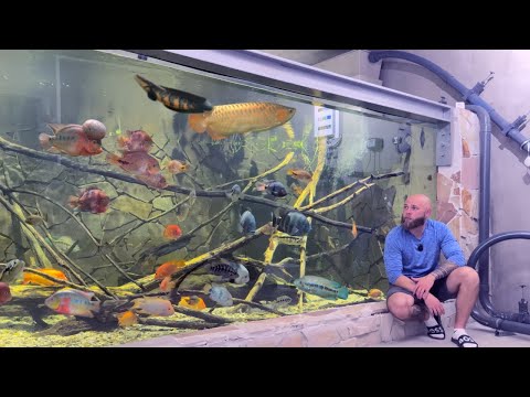 XXL Aquarium Technik: Mein Komplettes 21.000L Setup Im Detail | Heizung, Beleuchtung & Smart Home
