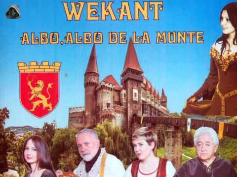 Wekant  - Aoleu mă doare spata