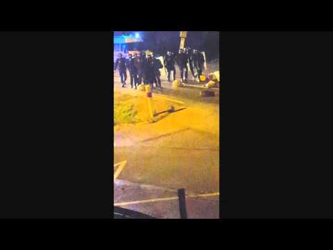 Calais miasto opanowane przez bydło ...