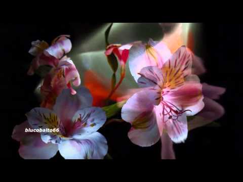 Lei balla sola  ~  Fabio Vanni