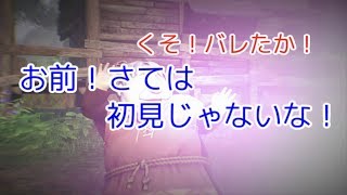 【W実況】お前！さては初見じゃないな！『ドラゴンクエストⅪ S』11ページ目
