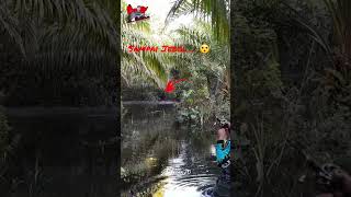 Download lagu WASPADA !!! SAMPAI JEBOL DIHAJARNYA 😯 @Aibrean20 #fishing #mancing #casting mp3 Download lagu WASPADA !!! SAMPAI JEBOL DIHAJARNYA 😯 @Aibrean20 #fishing #mancing #casting mp3