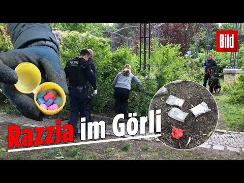 Hier buddelt die Polizei Drogen im Görlitzer Park aus