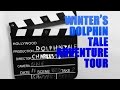Winter's Dolphin Tale Adventure Tour