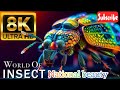 8K ULTRA HD Colorful Insects Macro World National Beauty Documentary