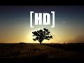 [HD] Beauty and the Bass - Lee Richardson / Tom ...