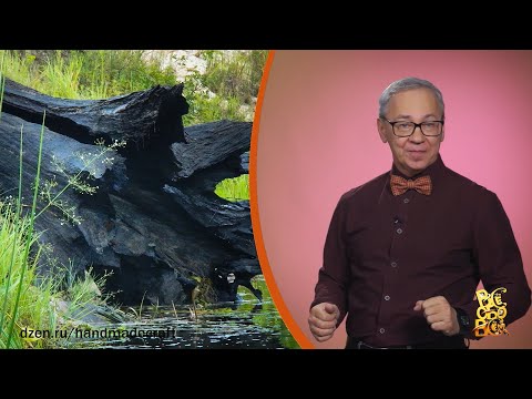 Всё обо всём. Морёный дуб. Выпуск от 01.12.25