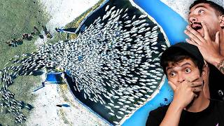 30 Momentos incríveis capturados por câmeras