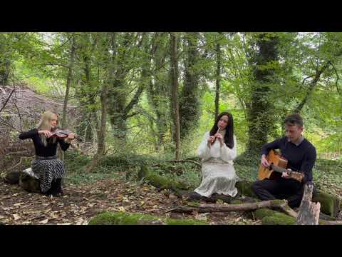 Beautiful Irish Folk Song – Down by the Sally Gardens | Performed by Celtri