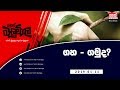 balumgala-11-01-2019