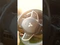 Car Driving Status Pajero Shorts Youtubeshorts India Kuwait