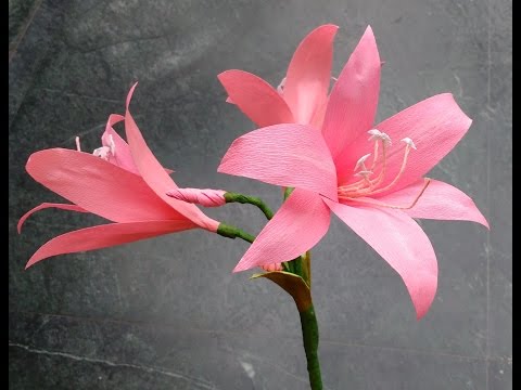 How to make Paper Flowers Crinum Lily (flower # 133)