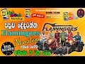 Shaa Fm Sindu Kamare Nonstop 2024 Flamingoes Nonstop Sinhala New Nonstop Collection Bsmusic