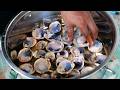 MANGROVE CLAMS Cooked Three Ways Palau Seafood Koror