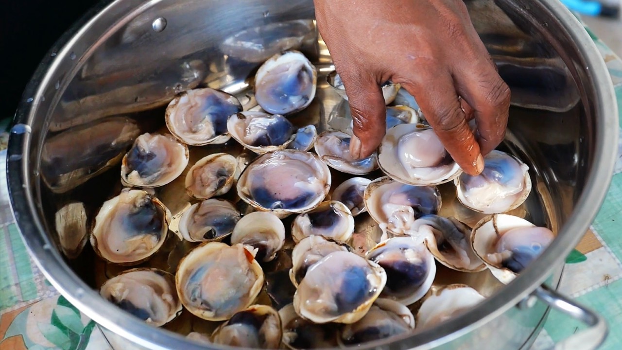MANGROVE CLAMS Cooked Three Ways - Palau Seafood Koror
