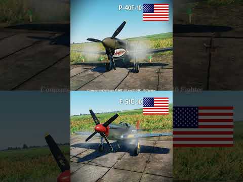U.S.A P-51C-10 vs U.S.A P-40F-10 Propeller Rear Shooting Comparison #warthunder