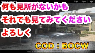 #4【COD:BOCW】京大生がSMGとか使ったりするんやね