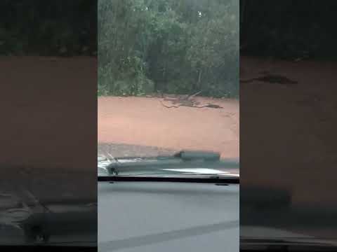Enchente dia 03-05 sudoeste do Paraná município de verê