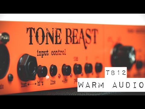 Warm Audio TB12 Tone Beast Microphone Preamp – CineMag Transformers – Original Box image 5